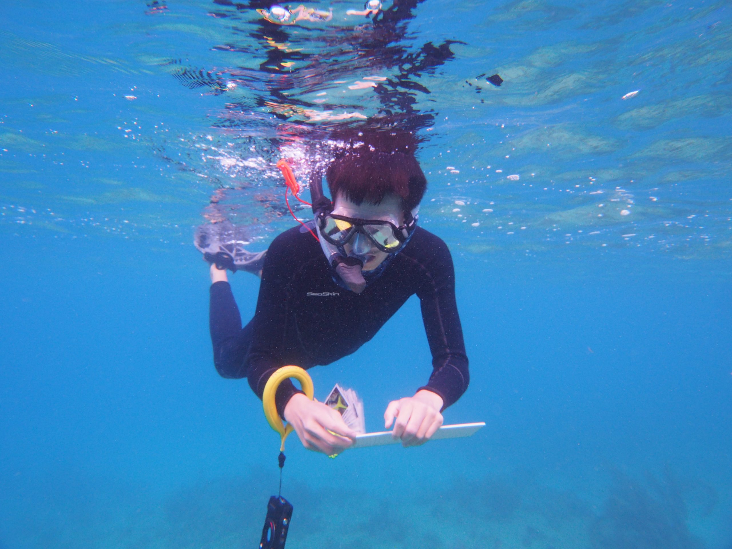Student conducting snorkel survey