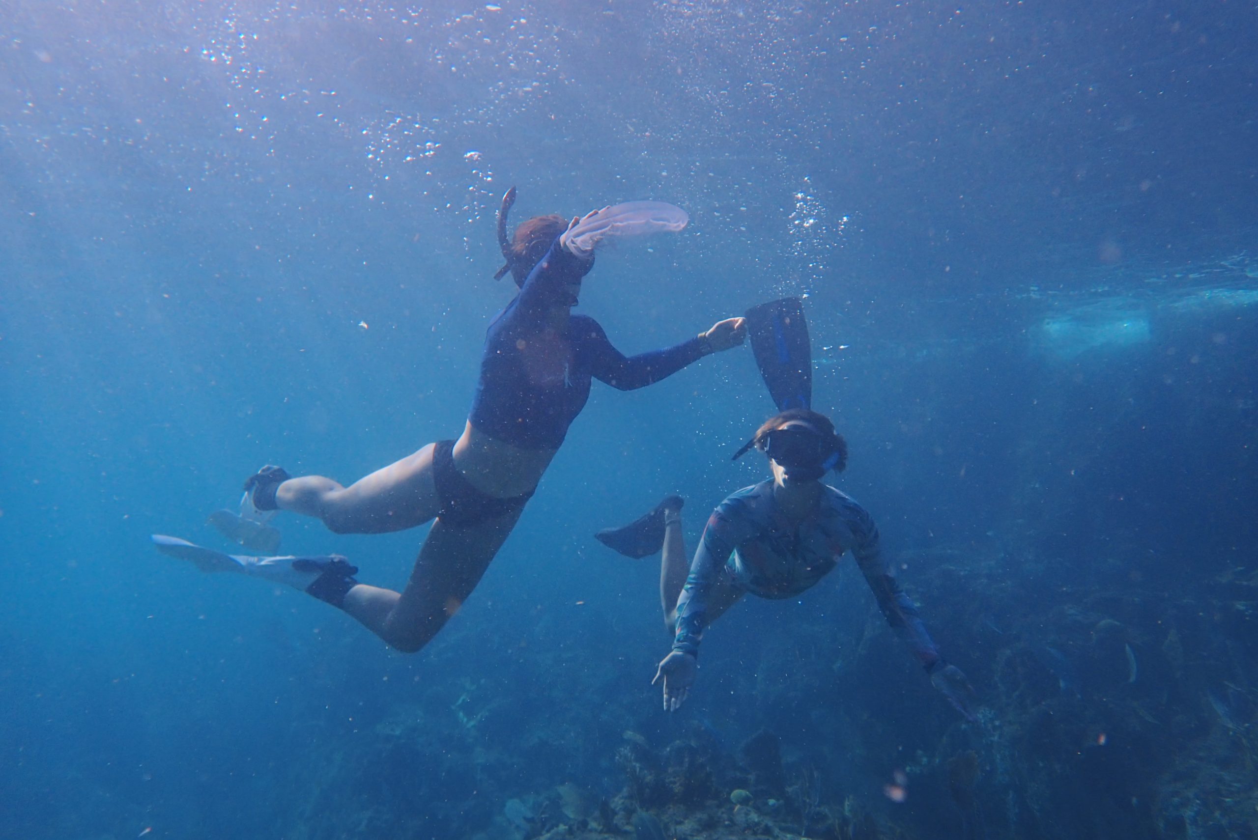 students on coral reef